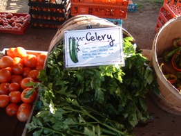 celery at pickup